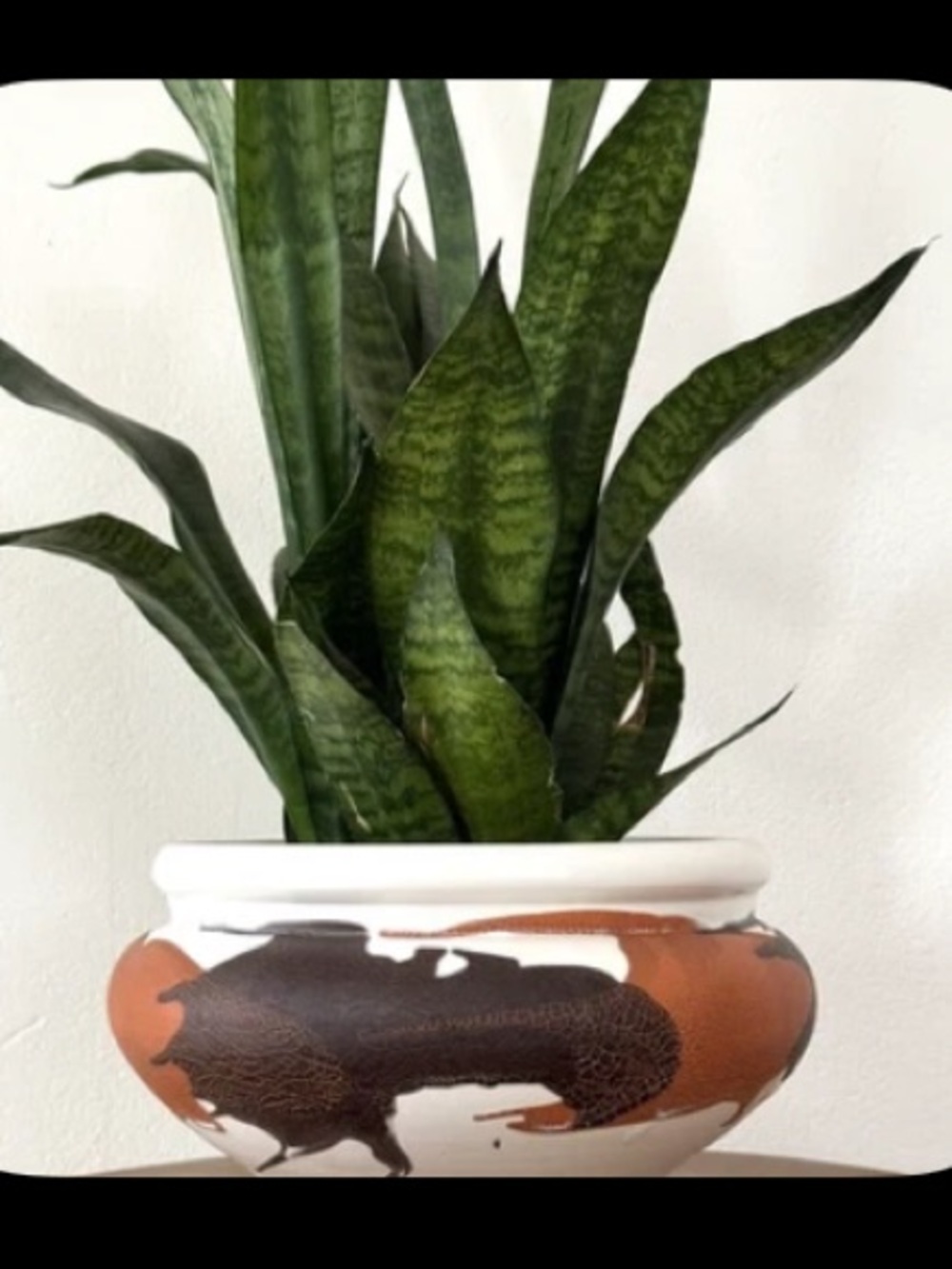 Rare VTG Royal Haeger Pottery Bowl/Planter Earth Wrap Lava Snakeskin 70s MCM